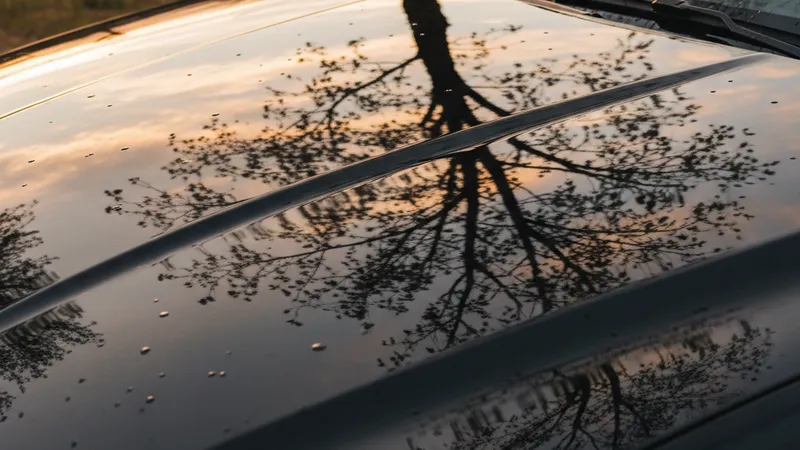 Brillance miroir après application cire carnauba sur voiture noire
